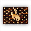 Charred Wyoming Flag
